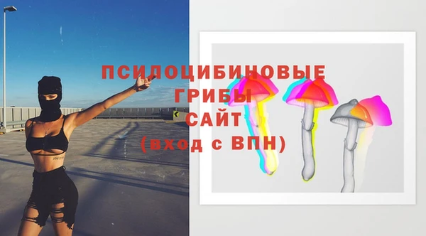 соль курить ск Долгопрудный